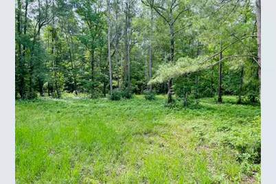 9985 Highway 17 North, McClellanville, SC 29458 - Photo 18