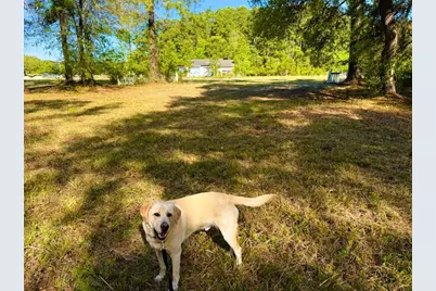 9985 Highway 17 North, McClellanville, SC 29458 - Photo 20
