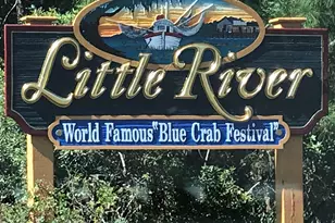 134 Scotch Broom Dr, Little River, SC 29566 - Photo 36