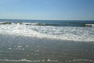 134 Scotch Broom Dr, Little River, SC 29566 - Photo 38