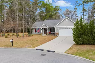 307 Purdue Ct, Galivants Ferry, SC 29544 - Photo 2