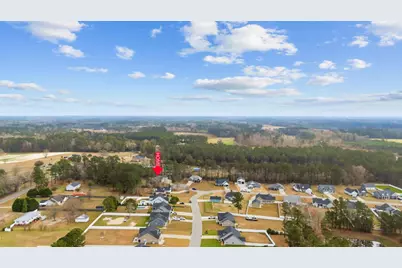 307 Purdue Ct., Galivants Ferry, SC 29544 - Photo 42