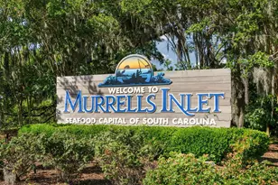 3926 Flagg St, Murrells Inlet, SC 29576 - Photo 50