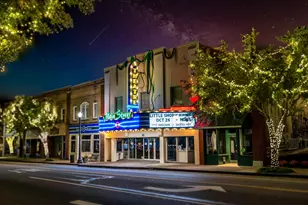101 Cottage Creek Cir, Conway, SC 29527 - Photo 36