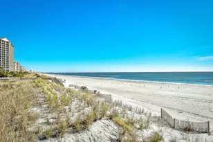 5007 White Iris Dr, North Myrtle Beach, SC 29582 - Photo 46