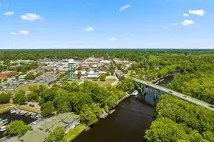 1127 Blueback Herring Wy, Conway, SC 29526 - Photo 56