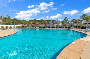 3344 Pampas Dr, Myrtle Beach, SC 29577 - Photo 66
