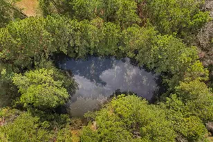 402 Wilkinson St, Georgetown, SC 29440 - Photo 40