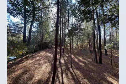 402 Wilkinson St., Georgetown, SC 29440 - Photo 36