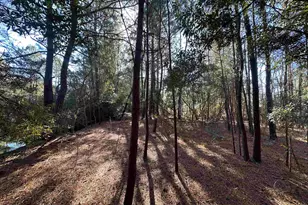 402 Wilkinson St, Georgetown, SC 29440 - Photo 36