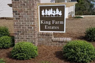 3039 Gadwall Dr, Aynor, SC 29511 - Photo 4