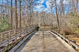 6 Caleb Ct, Murrells Inlet, SC 29576 - Photo 58