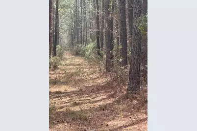 0 School Bus Rd, Jamestown, SC 29453 - Photo 6