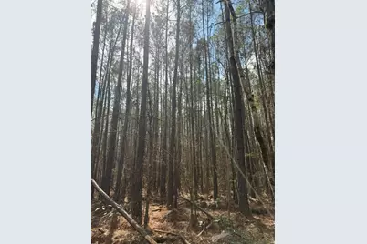 0 School Bus Rd, Jamestown, SC 29453 - Photo 10