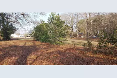 Lot 1 A Browns Creek Rd., Latta, SC 29565 - Photo 12