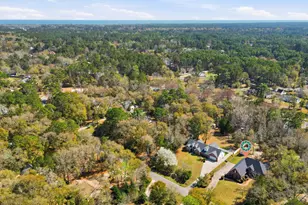 373 Otter Run Rd, Pawleys Island, SC 29585 - Photo 42