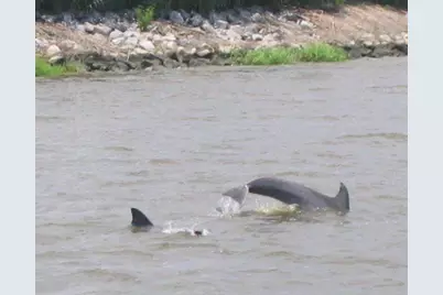 Lot 177 Cravens St., Georgetown, SC 29440 - Photo 12