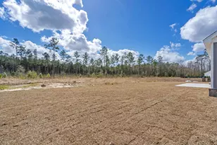 6933 Pauley Swamp Rd, Conway, SC 29527 - Photo 32