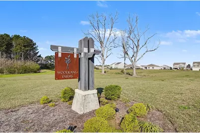 572 Woodland Farms Circle, Aynor, SC 29511 - Photo 4