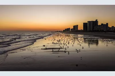 201 Hillside Dr. N #306, North Myrtle Beach, SC 29582 - Photo 52