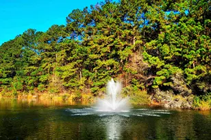 407 Big Woods Ct, Myrtle Beach, SC 29588 - Photo 30