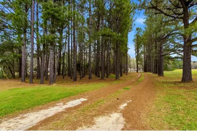 1258 Knotty Branch Rd., Conway, SC 29527 - Photo 2