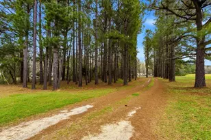 1258 Knotty Branch Rd, Conway, SC 29527 - Photo 2
