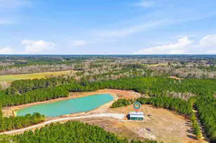 7299 Cartrette Rd, Aynor, SC 29511 - Photo 52