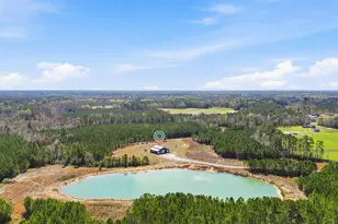 7299 Cartrette Rd, Aynor, SC 29511 - Photo 50