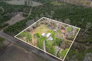 1225 Muddy Creek Rd, Johnsonville, SC 29555 - Photo 24