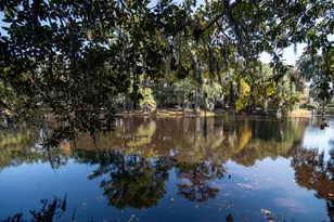 117 Finch Dr, Georgetown, SC 29440 - Photo 48