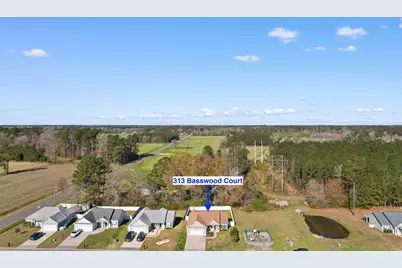 313 Basswood Ct., Conway, SC 29526 - Photo 38