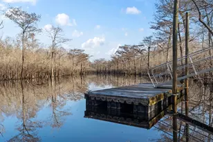 712 Tilly Pine Dr, Conway, SC 29526 - Photo 56