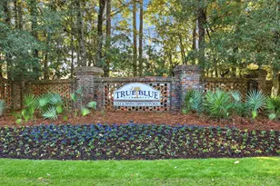 23 Pinehurst Ln, Pawleys Island, SC 29585 - Photo 24