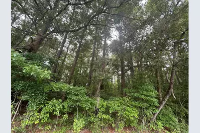 Tbd Johnson  Rd., Galivants Ferry, SC 29544 - Photo 6
