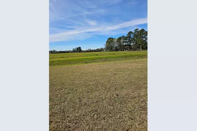 173 River Birch Dr., Loris, SC 29569 - Photo 40