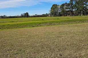 173 River Birch Dr, Loris, SC 29569 - Photo 40