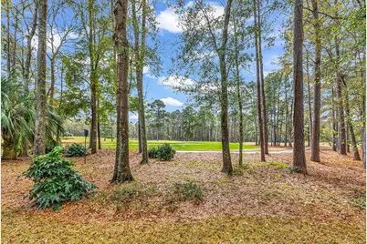 28 Thrasher Ct., Pawleys Island, SC 29585 - Photo 6