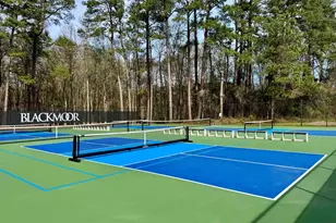 6486 Longwood Dr, Murrells Inlet, SC 29576 - Photo 56