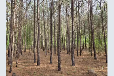 5328 County Line Rd., Andrews, SC 29510 - Photo 2