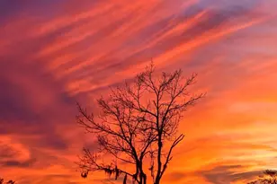 621 Riverward Dr, Myrtle Beach, SC 29588 - Photo 42