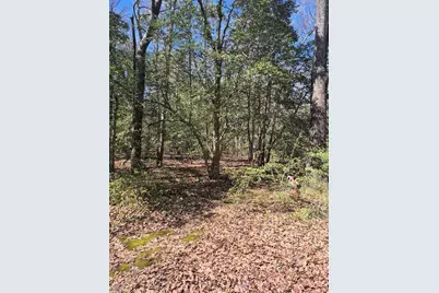 700 Steerfork Dr, Florence, SC 29501 - Photo 6