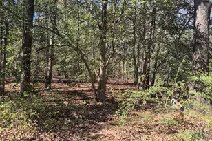 700 Steerfork Dr, Florence, SC 29501 - Photo 6