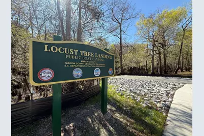 Tbd Locust Tree Ct., Gresham, SC 29546 - Photo 4