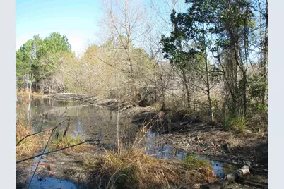 0 Cannery Rd, Dalzell, SC 29040 - Photo 42