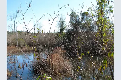 0 Cannery Rd, Dalzell, SC 29040 - Photo 32