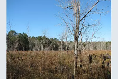 0 Cannery Rd, Dalzell, SC 29040 - Photo 40