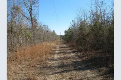 0 Cannery Rd, Dalzell, SC 29040 - Photo 48