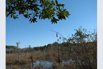 0 Cannery Rd, Dalzell, SC 29040 - Photo 26