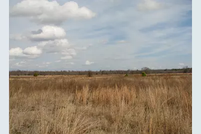 0 Cannery Rd, Dalzell, SC 29040 - Photo 24